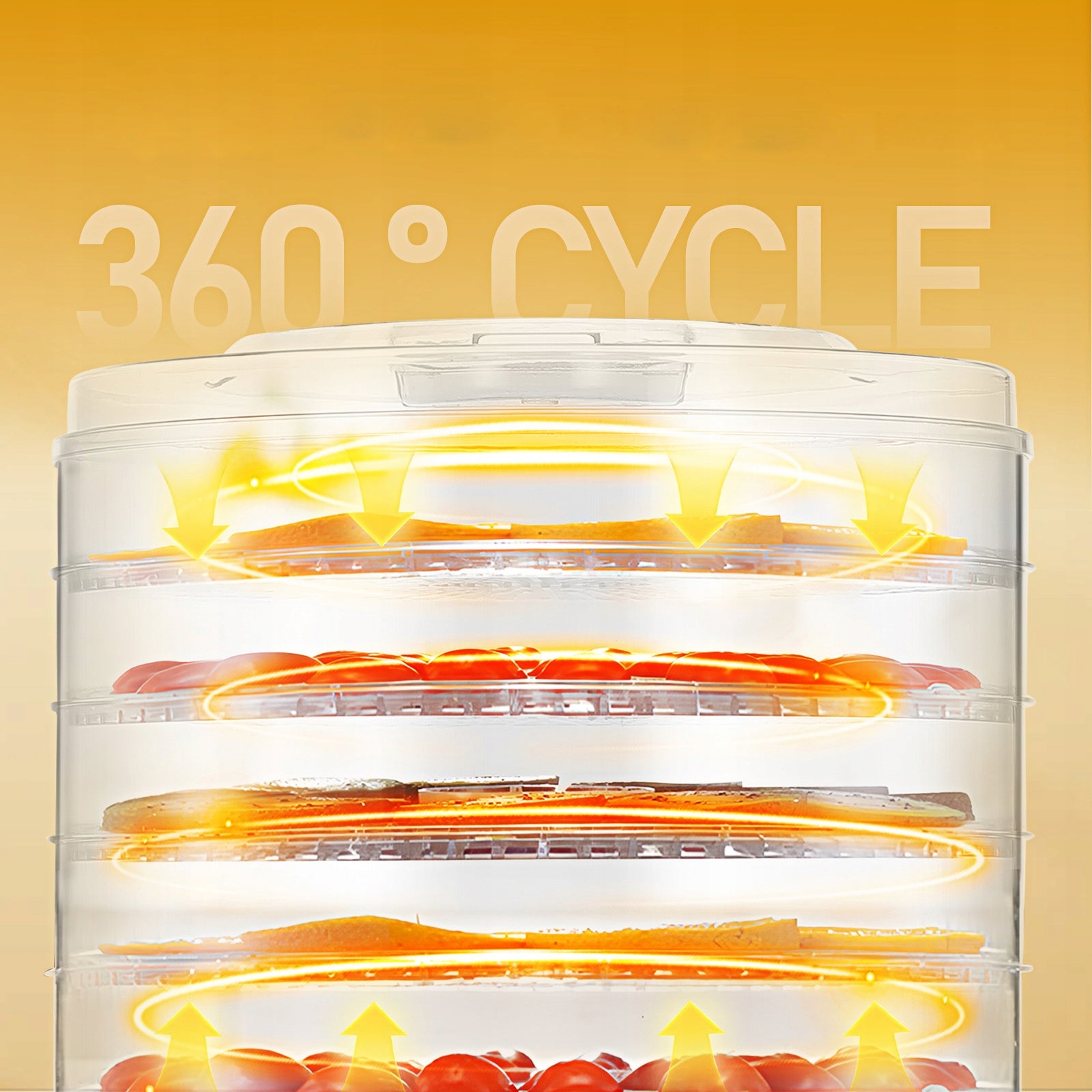 FOOD DRYER FOR VEGETABLE FRUIT MUSHROOM ADJUSTABLE LARGE 345W + 7 SIT EAN (GTIN) 4896009072546