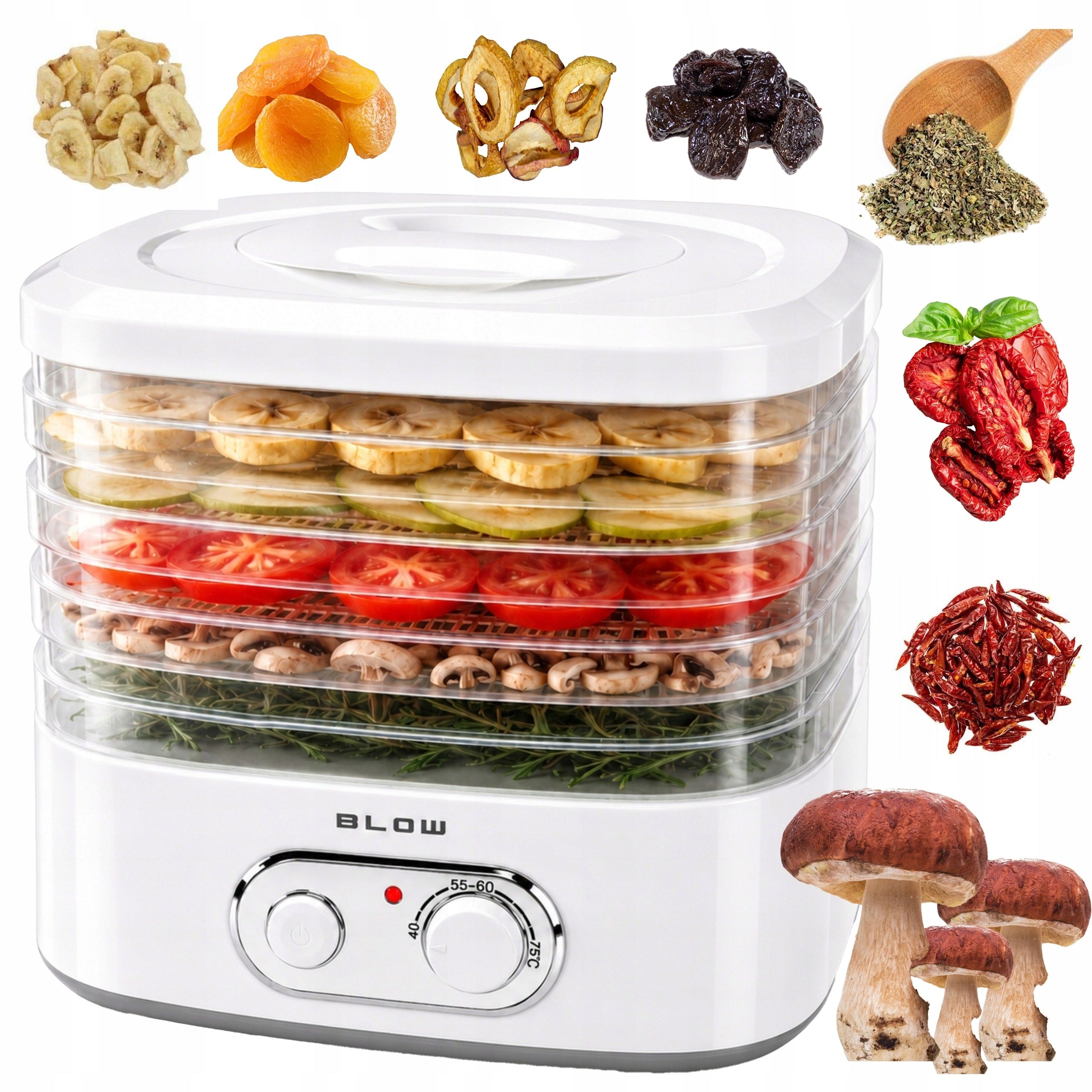 FOOD DRYER STRONG FOOD MEAT FRUIT MUSHROOM DEHYDRATOR 5 SIT