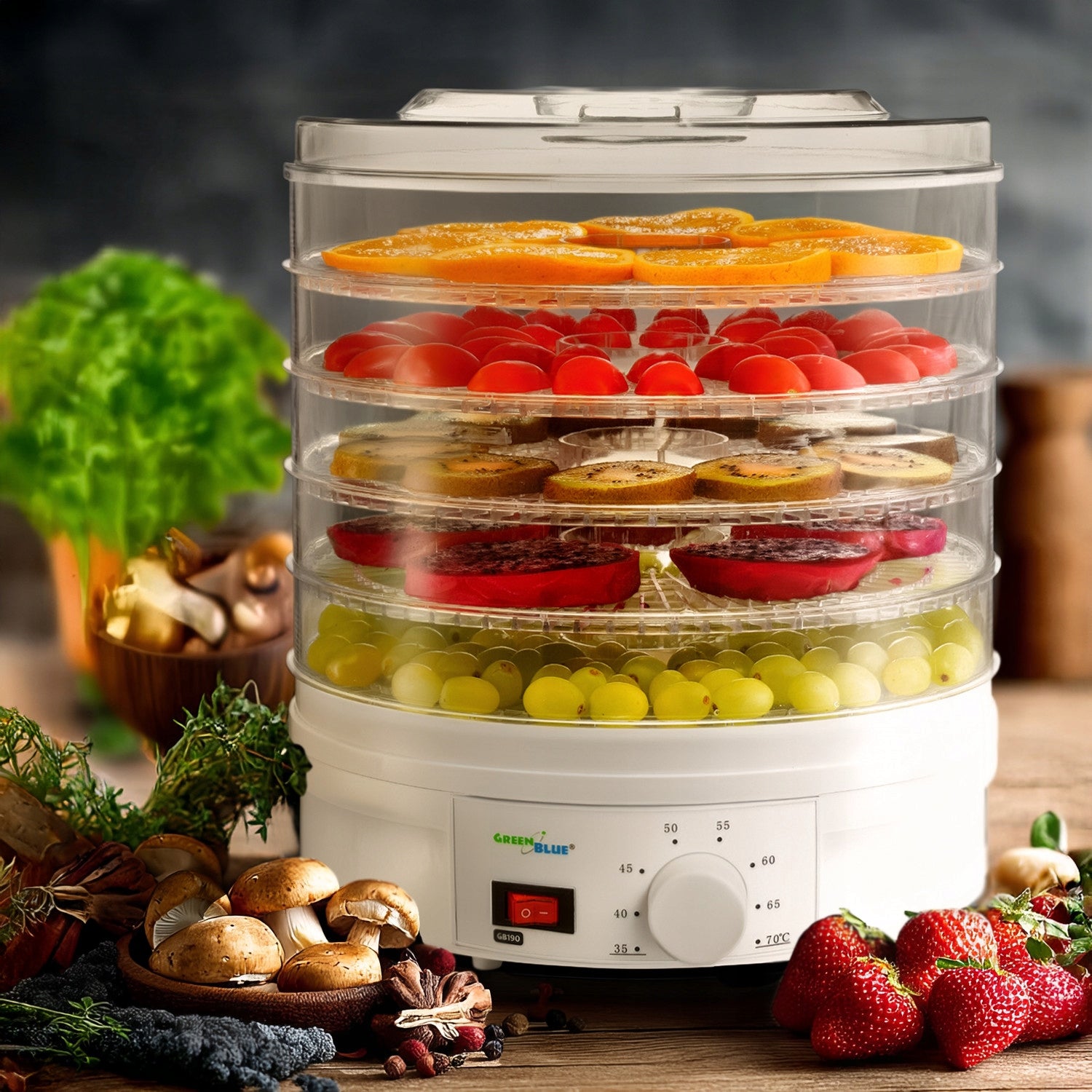 FRUIT MUSHROOM DRYER HERBS FOOD GRADE HIGH SIEVES 5 LEVELS Packaging status original
