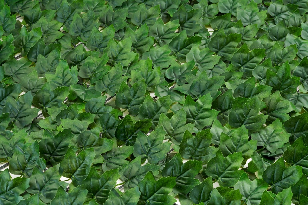 Fence Cover Terrace Ivy Artificial Hedge PREMIUM Dear Because Good Packaging status original