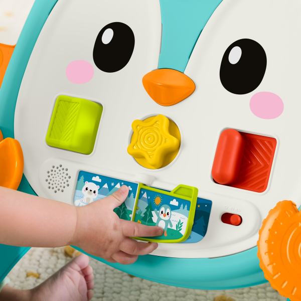 Fisher-Price Music Penguin Walker-Pusher JHF74 Brand Fisher-Price