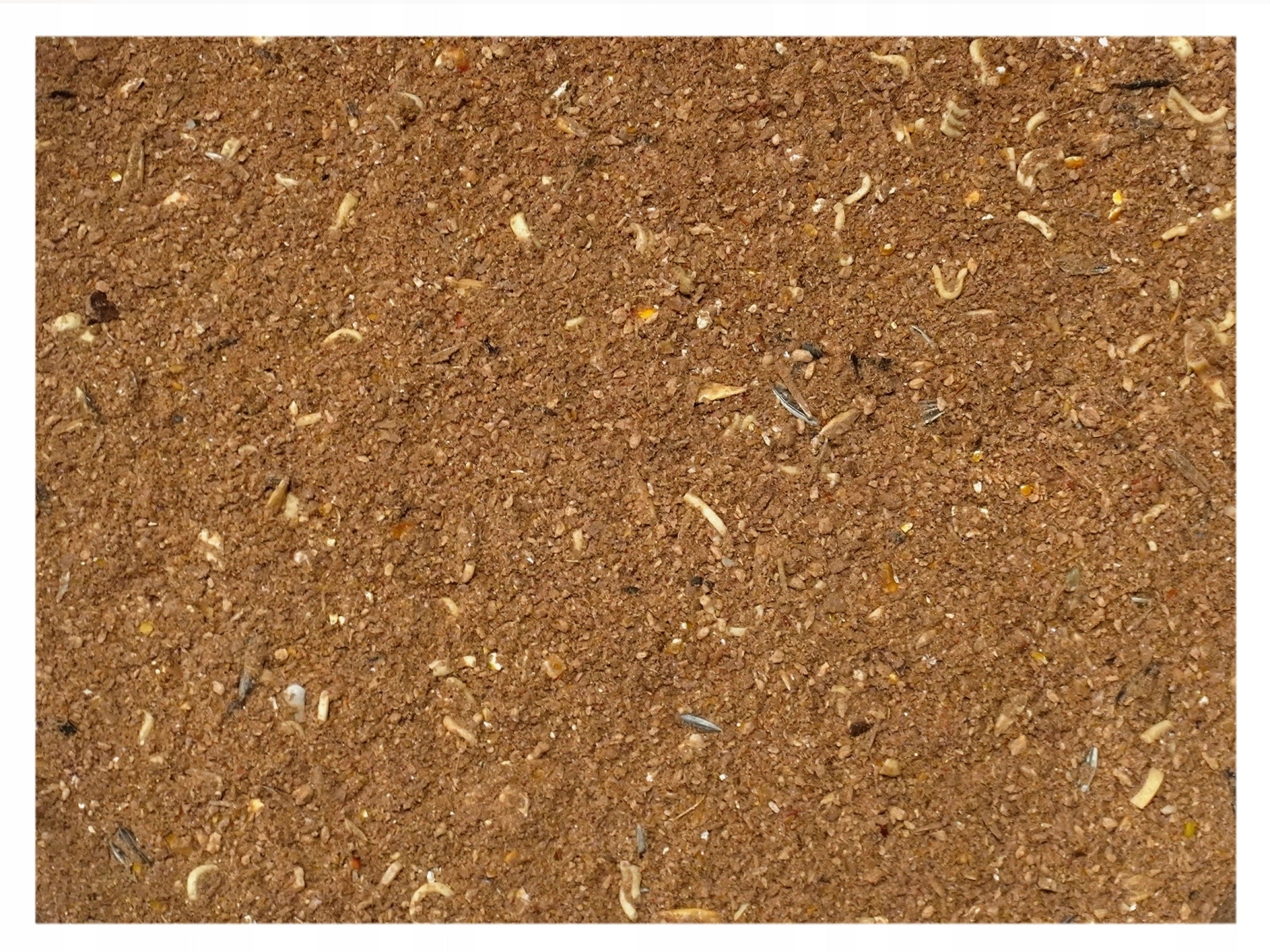 Fishing bait GINGERBREAD CHOCOLATE universal bottom carp bream 4,5kg nr.8 Brand Champion