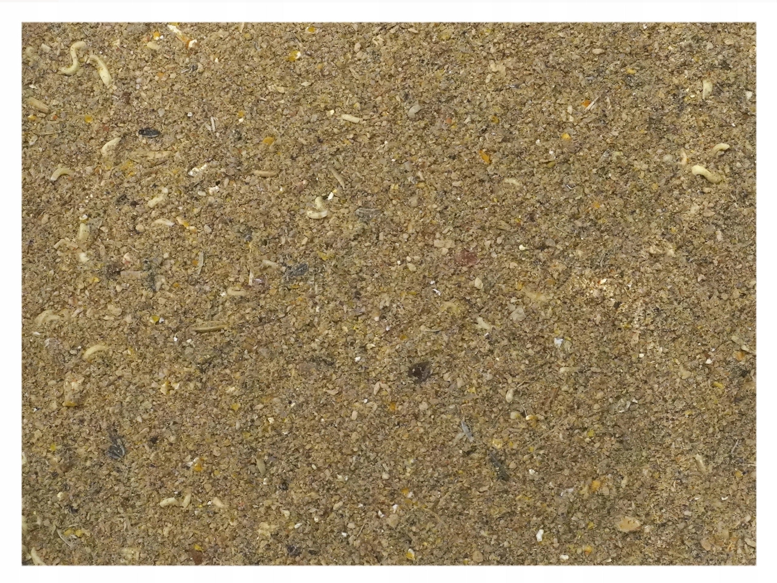 Fishing bait LIVER SQUID bottom universal carp 4,5kg nr.3
