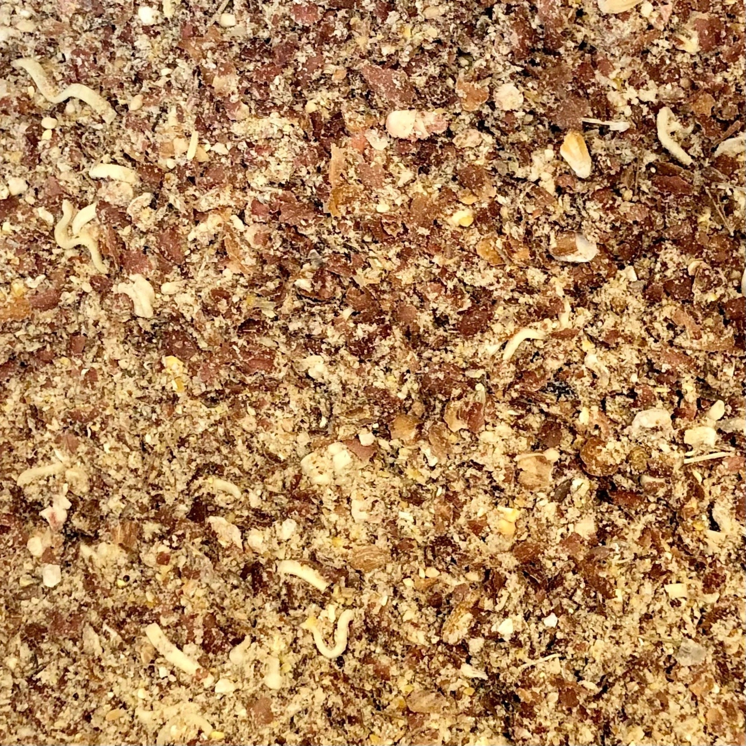Fishing bait WALNUT universal bottom carp bream roach 4,5kg nr.9 Brand Champion