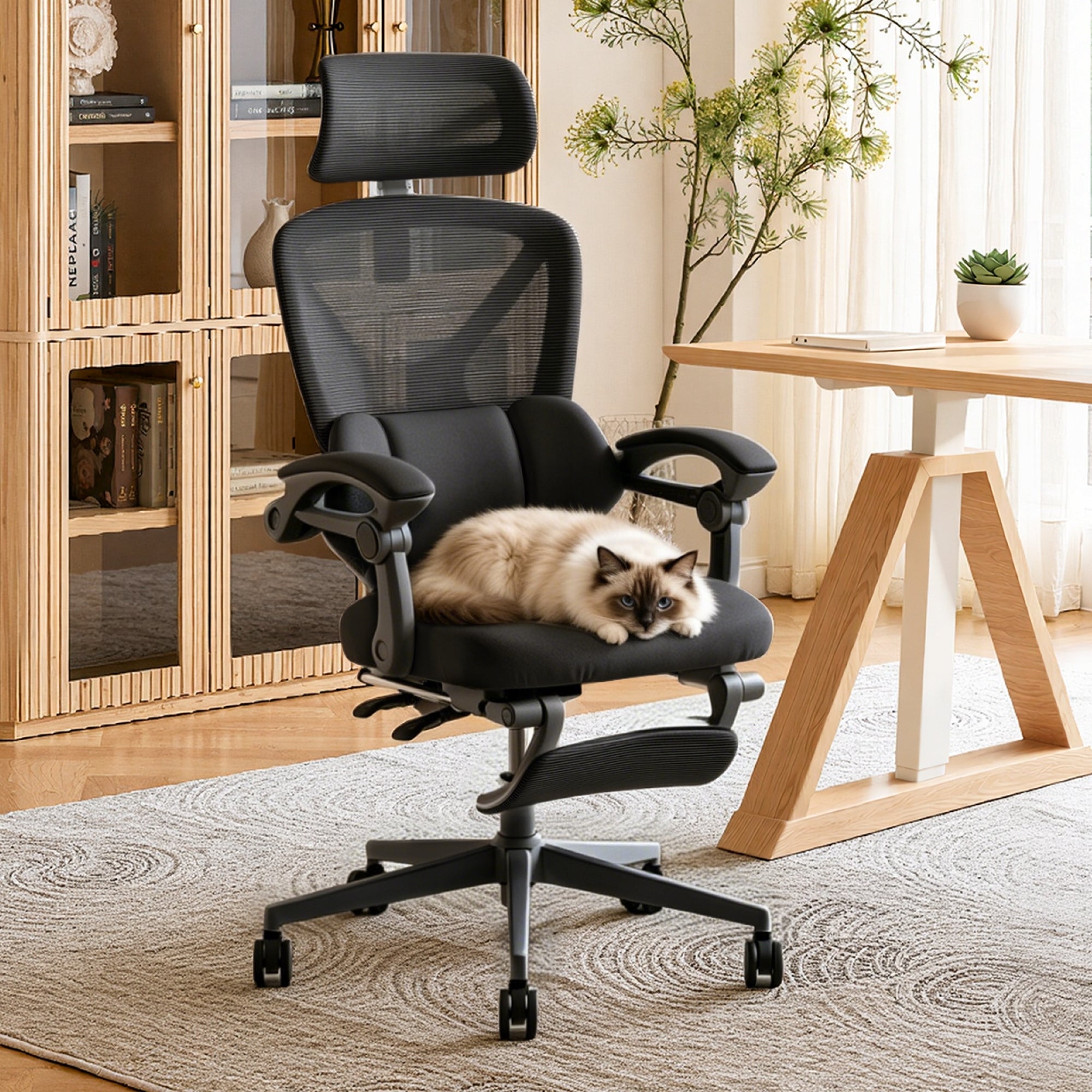 FlexiSpot OC4 Fotel ergonomiczny z 3-strefowym podparciem BIFMA Home Office Packaging status original