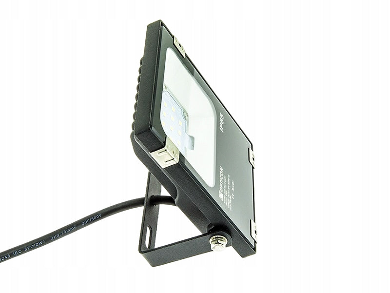 Floodlight Halogen LED Lamp IP65 10W 12V 24V DC 1300lm White Cold 6000K Color black