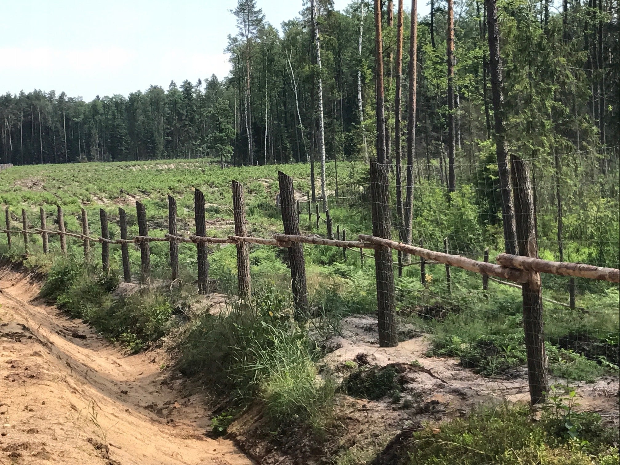 Forest Fence Mesh 150/10/15 L + SKOBLE 50 m Length 50 m