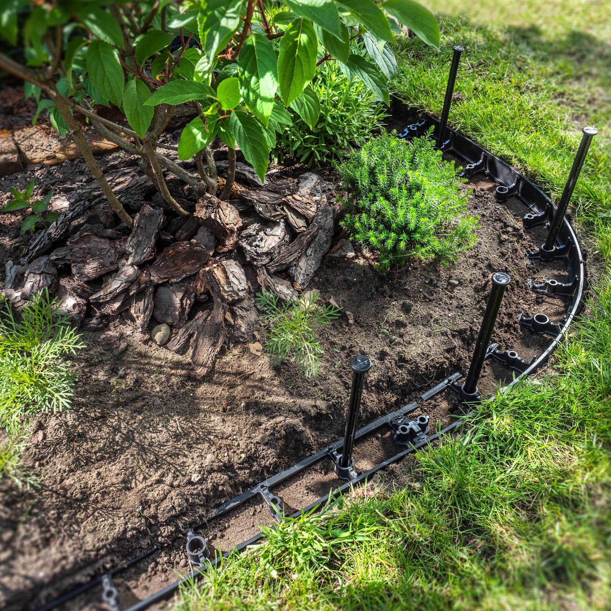 GARDEN LAWN EDGING PLASTIC 5,8cm 50mb + 150 ANCHORS SET BLACK Color black