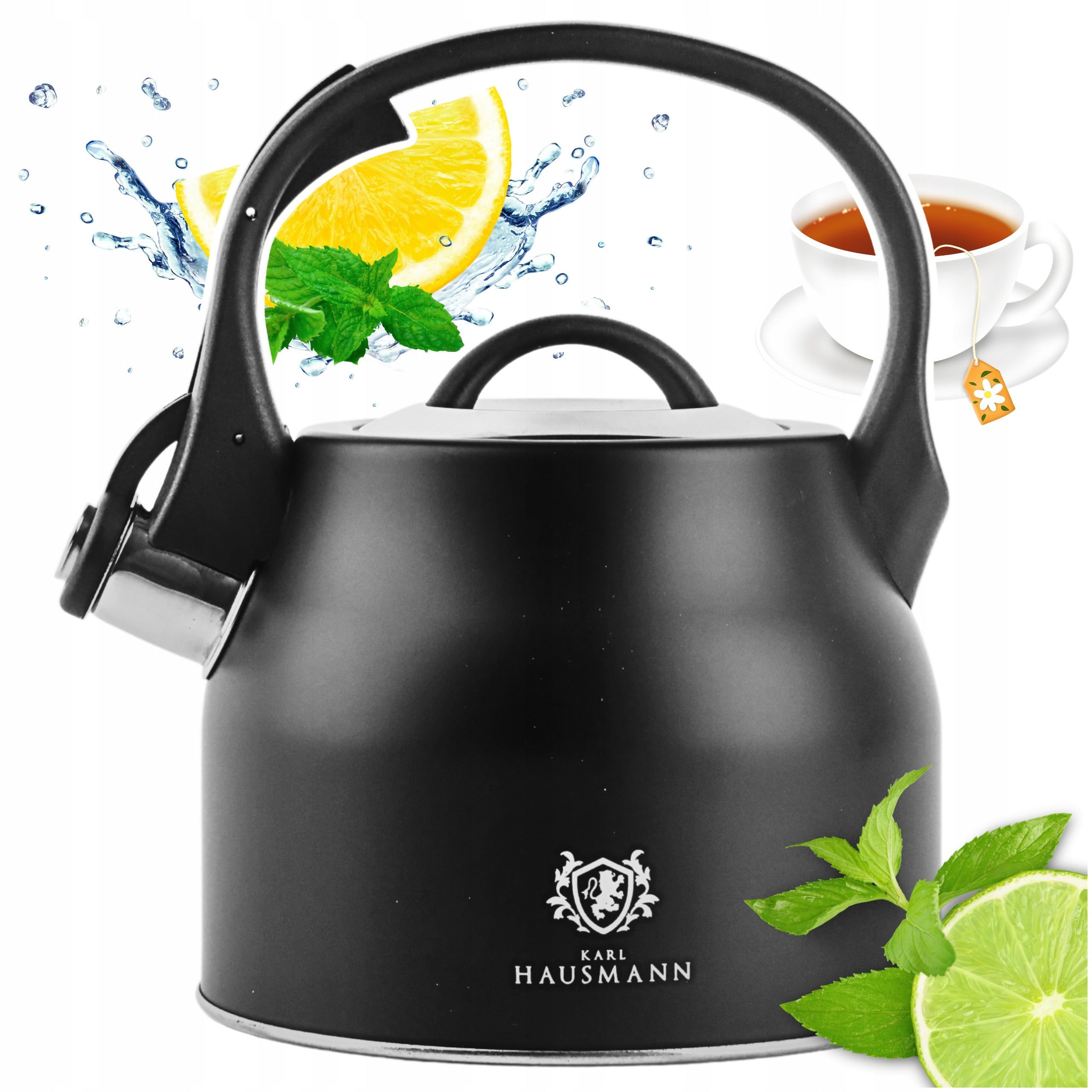 GAS KETTLE 2,3L KETTLE WITH WHISTLE COVER STEEL INDUCTION BLACK INOX