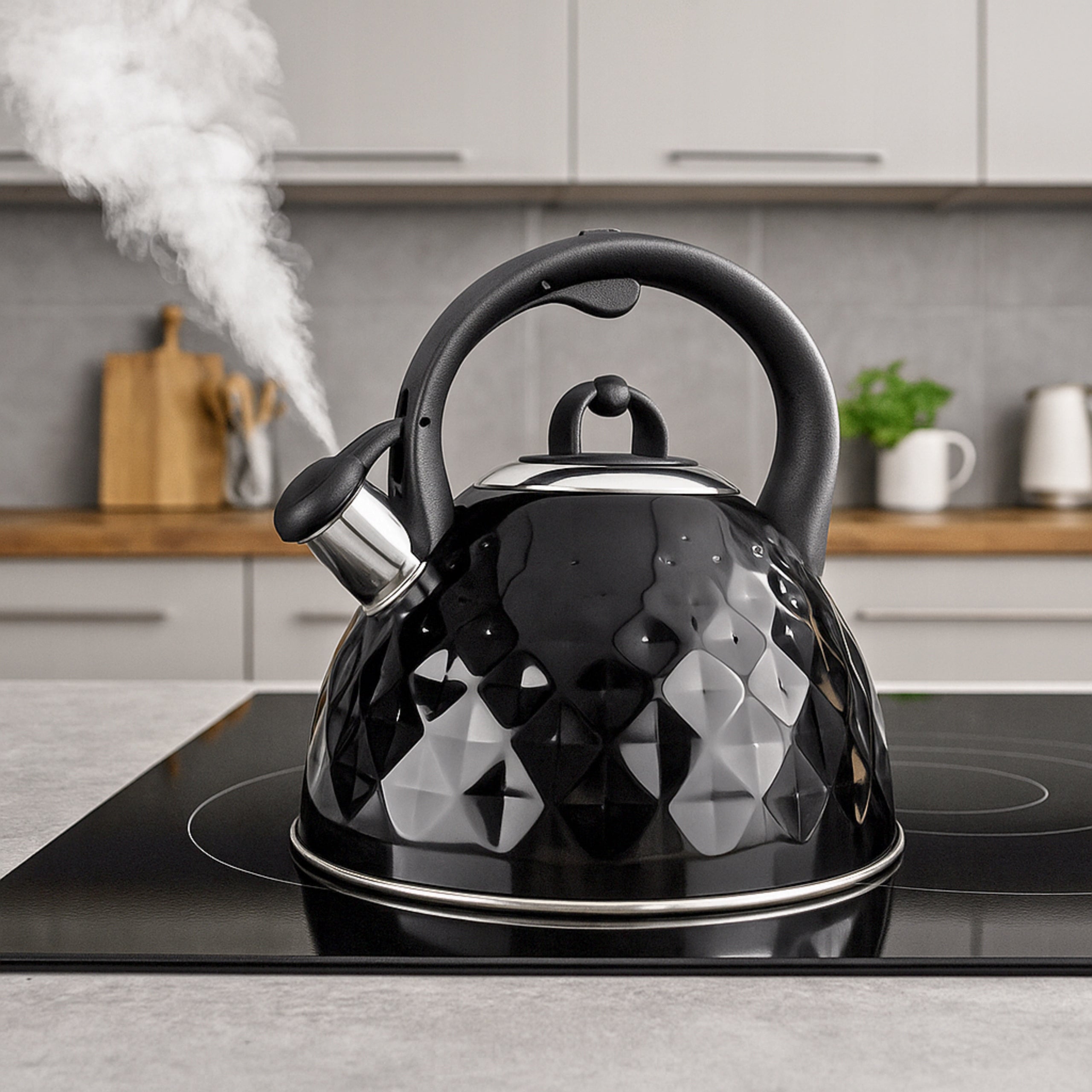 GAS KETTLE BLACK 2,5L WITH WHISTLE COVER STEEL INDUCTION GAS Packaging status original