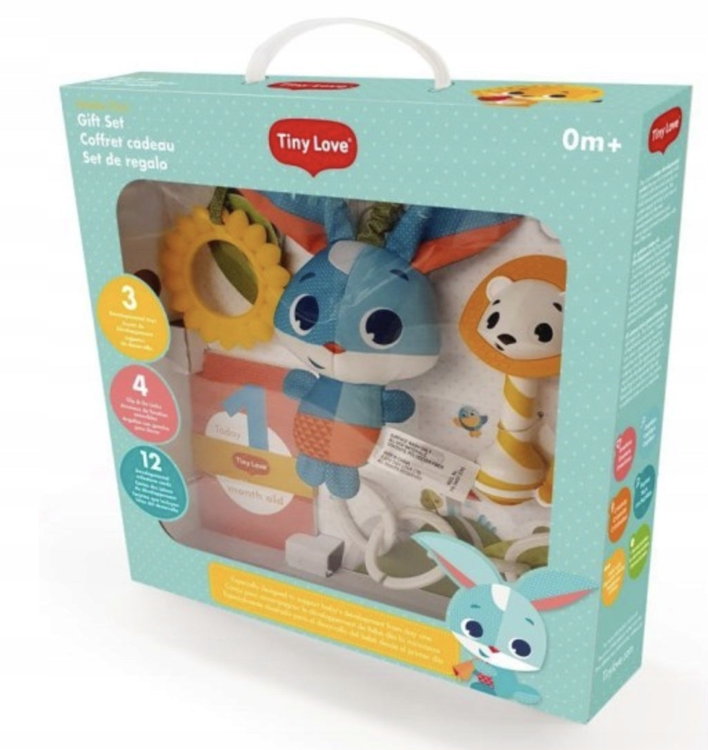 GIFT SET FOR A CHILD WITH CARDS FUN IN THE MEADOW
