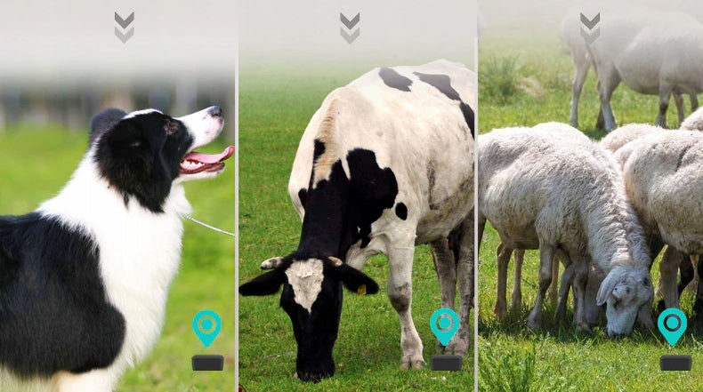 GPS LOCATOR FOR CATTLE HERD OF SHEEP COW EAN (GTIN) 5903240045945