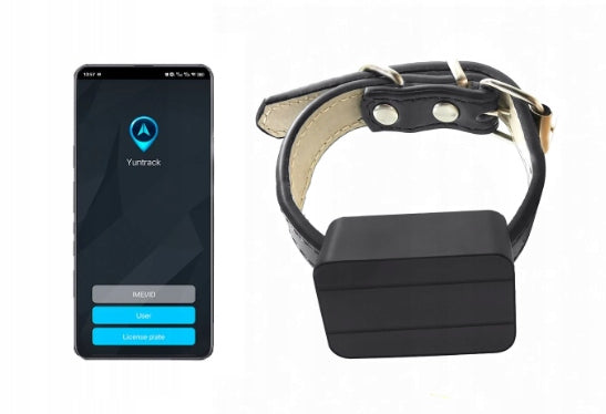 GPS LOCATOR FOR CATTLE HERD OF SHEEP COW