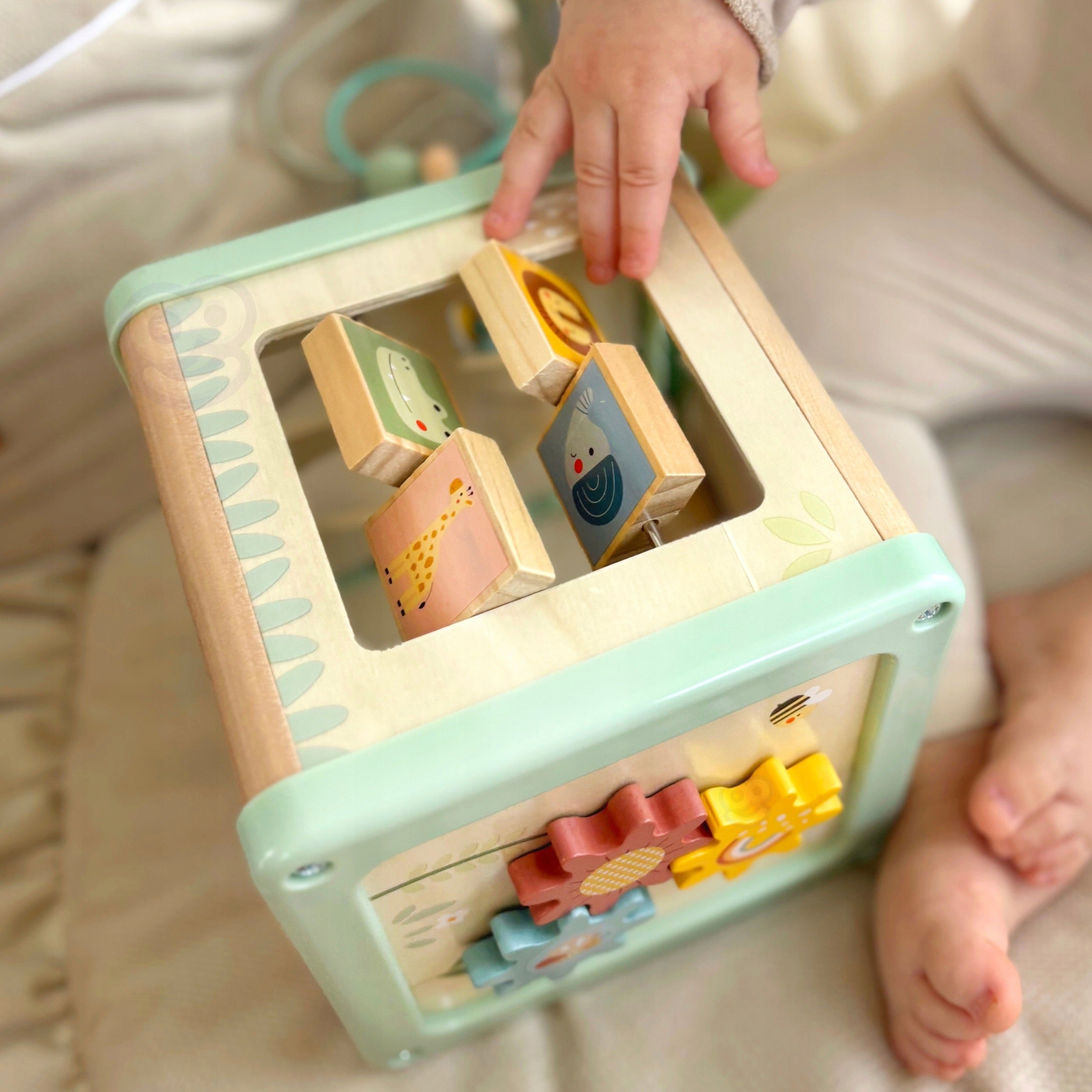 GREEN Wooden Activity Cube Multifunction Educational Sorter Brand Woopie