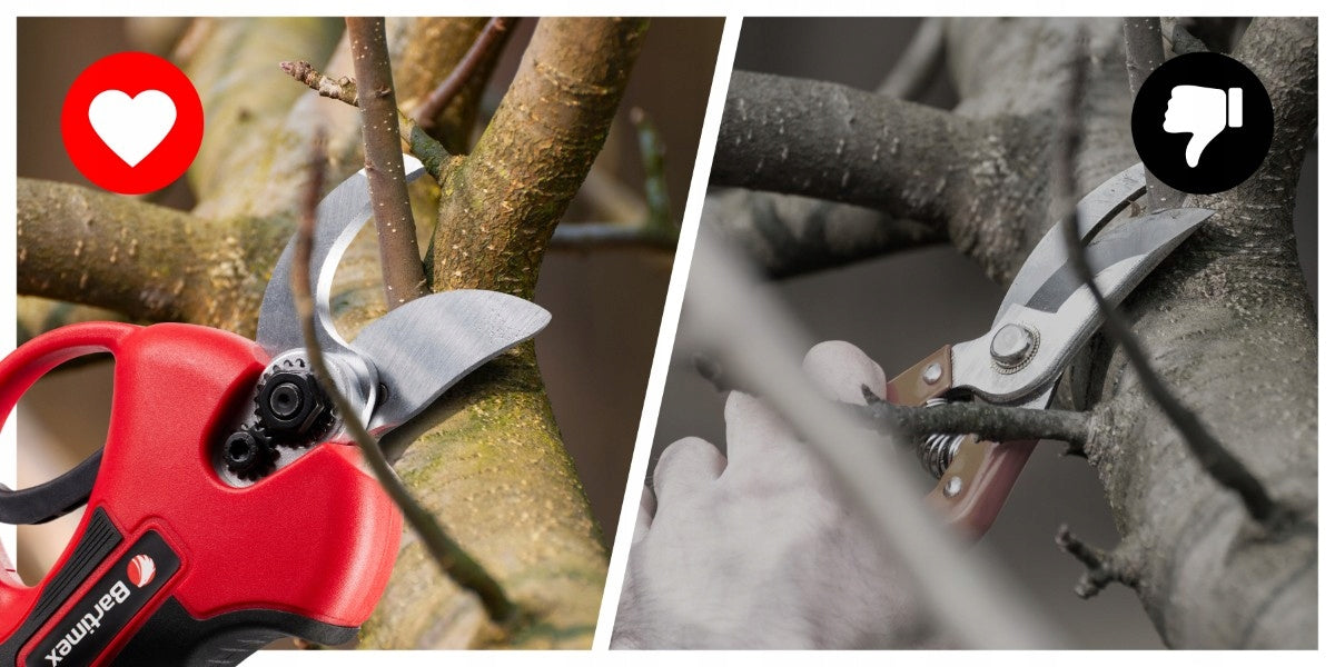 Garden Pruner Cordless Brushless Set Bartimex BT-CP-20A Manufacturer code BT-CP-20A