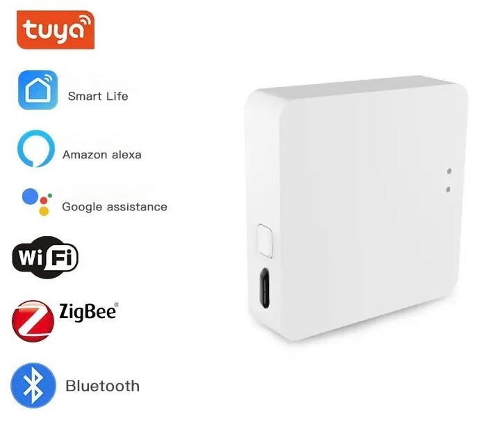 Gate Zigbee gate Control panel Smart Life WIFI Bluetooth Tuya
