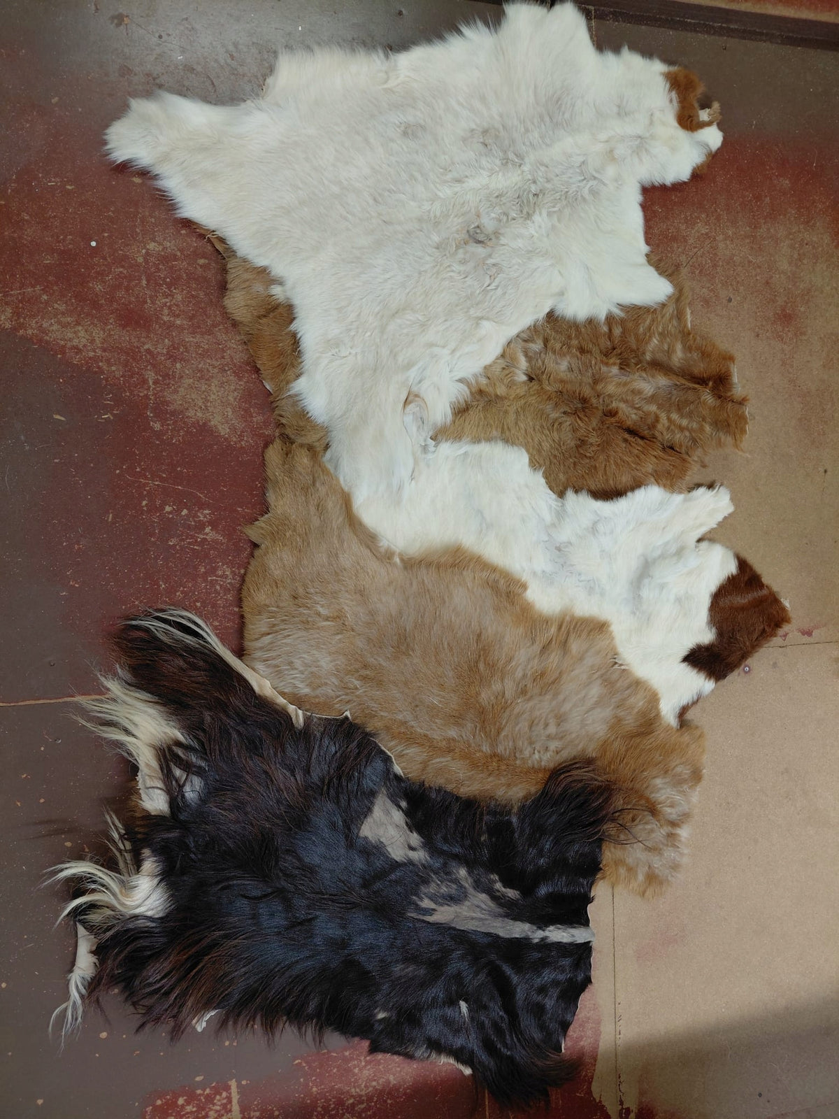 Goatskin PACK 5 Pcs Goatskins 2 Class SALE Goatskin Leather Brand no brand