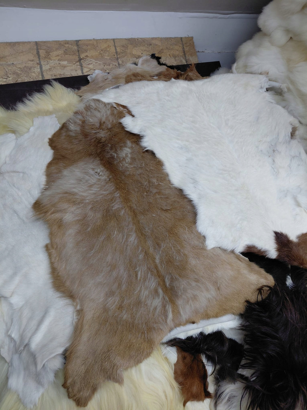 Goatskin PACK 5 Pcs Goatskins 2 Class SALE Goatskin Leather Manufacturer code SK006bU0