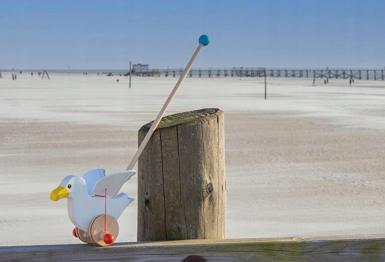 Goki Seagull Jonas with wood for pushing for baby Baby toy Character/Title none