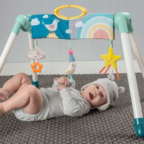 Gymnastics Toy MOON Taf Toys – for Children 0 m + Manufacturer code 12525