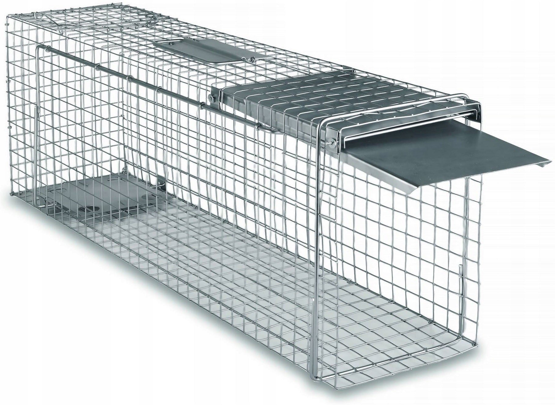 HEDGEHOG, TRAP, FOR RATS, MARTENS, MINK, COWARDS, CATS, PAW Poland Brand Zielona Łapka