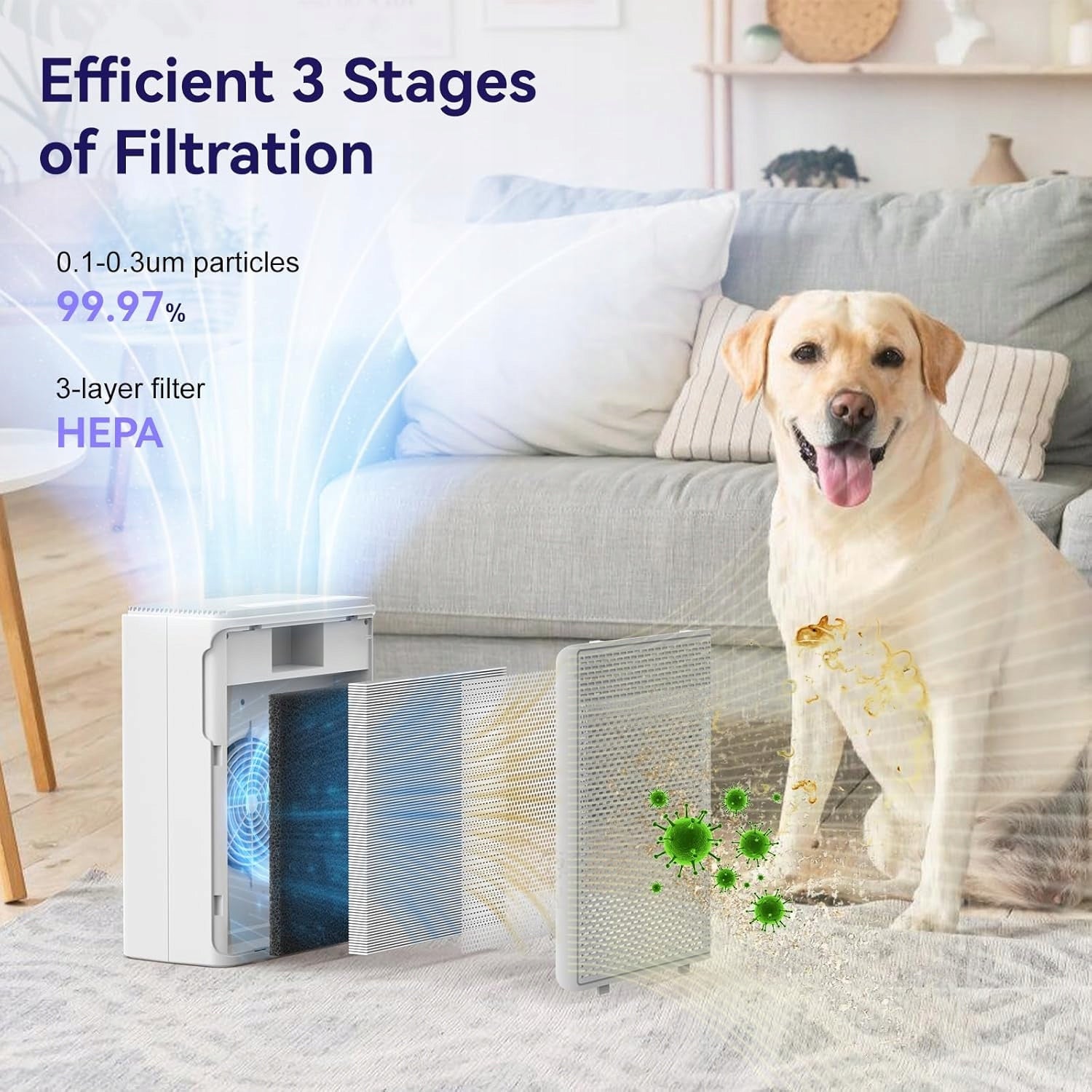 HEPA H13 Air Purifier for Animal House Large Rooms Brand no brand