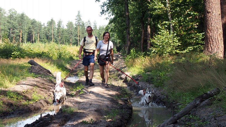 HIFICA Hip Belt for Dog Guide Free Hands LITE TREK PP 10 YEARS GW. Manufacturer code BT2 PP