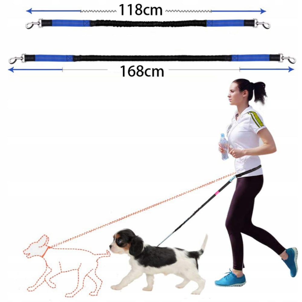 HIP Trekking Belt with Running Shock Absorber with Dog Elastic Lanyard Manufacturer code Pas trekkingowy BIODROWY z amortyzatorem