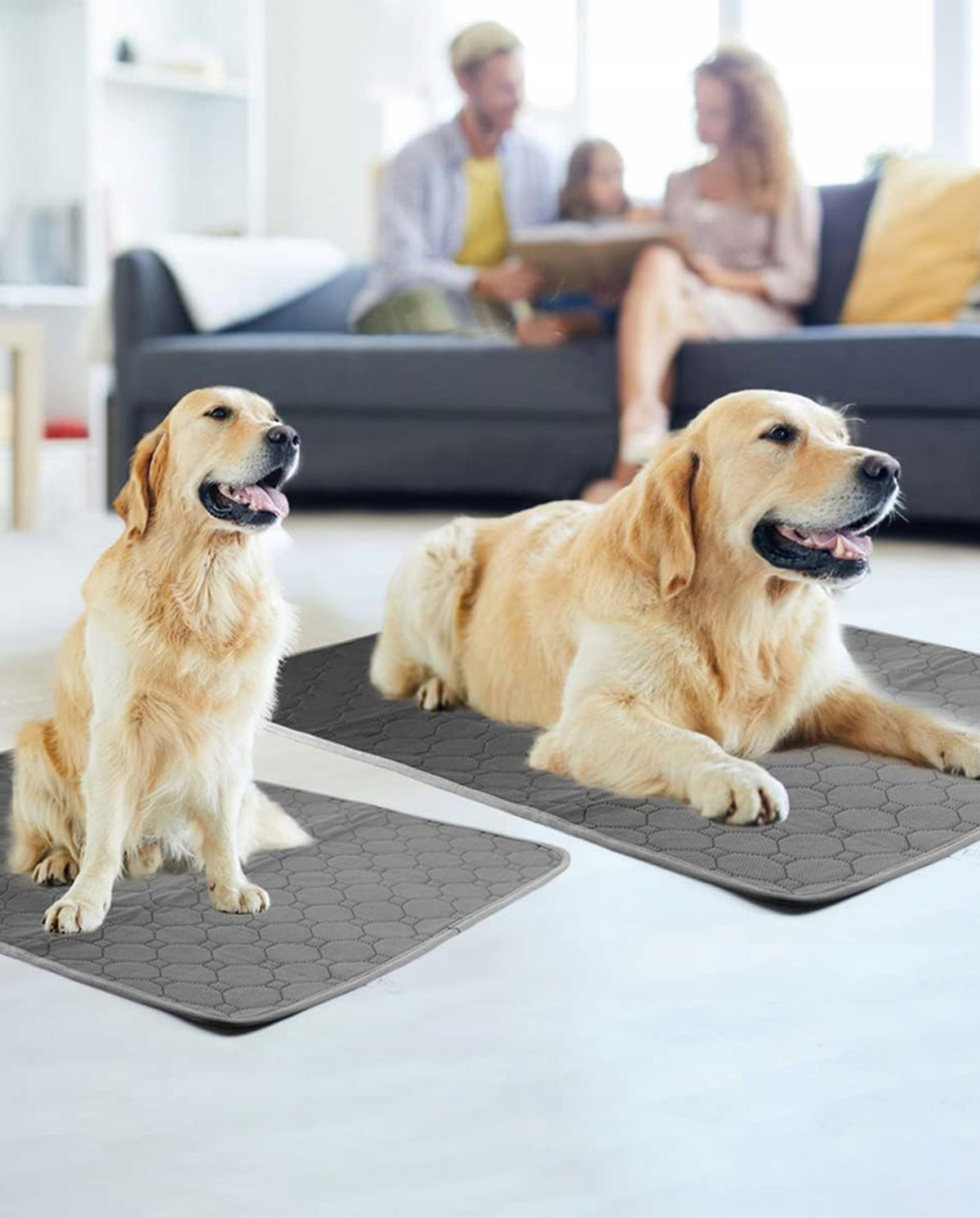 HYGIENIC FOUNDATION Absorbent Reusable Mat for Dog Fazoo 50x70 Packaging status original