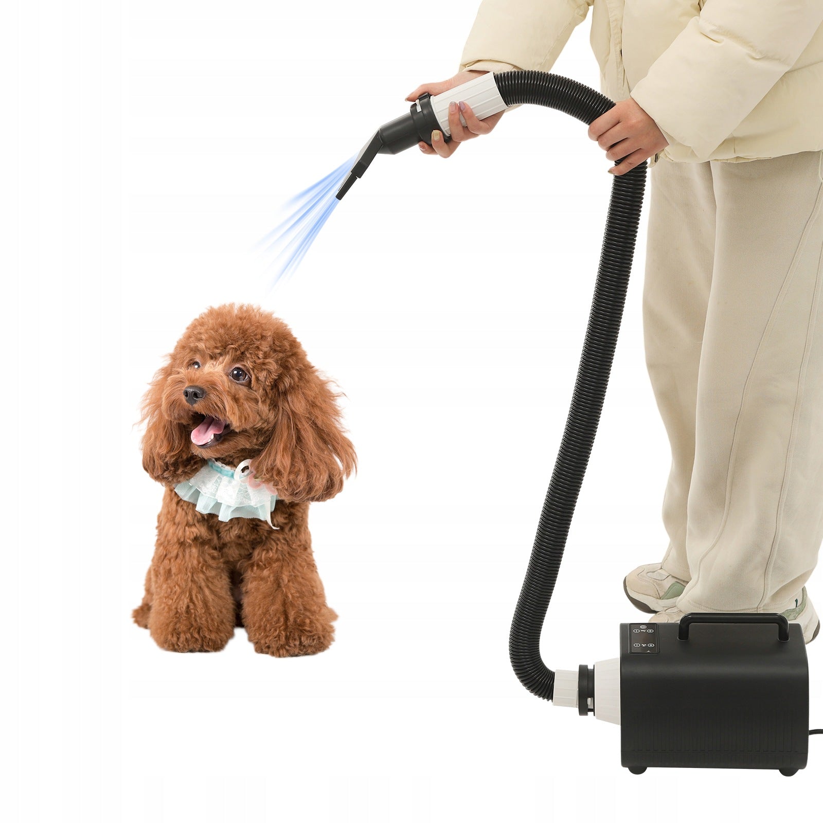 Hairdryer,Pet Grooming Dryer, Dog Hair Dryer Pet Grooming Dryer 2100W