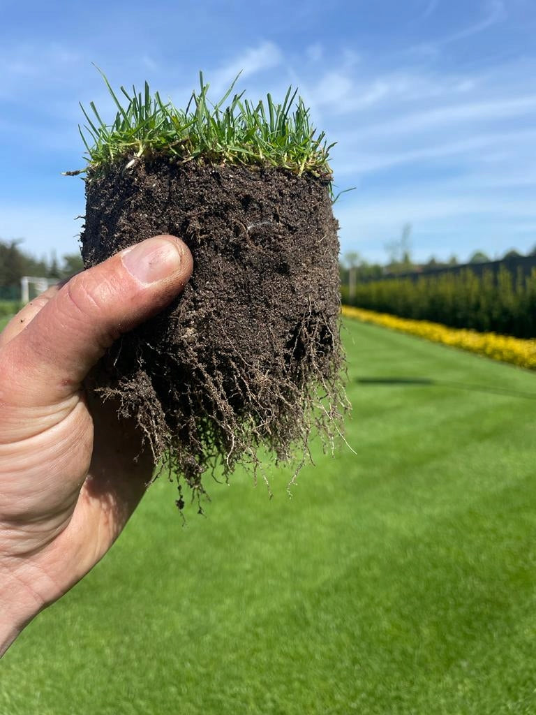 Hand loafers for turf cutter round Brand no brand