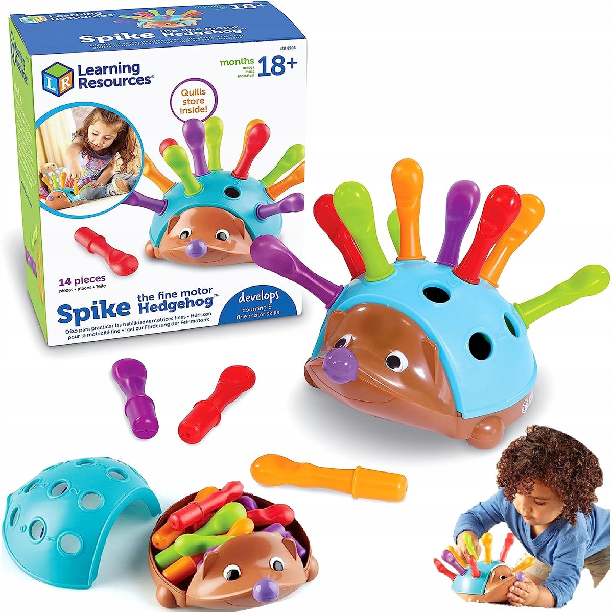 Hedgehog sorter Montessori learning Hedgehog educational puzzle