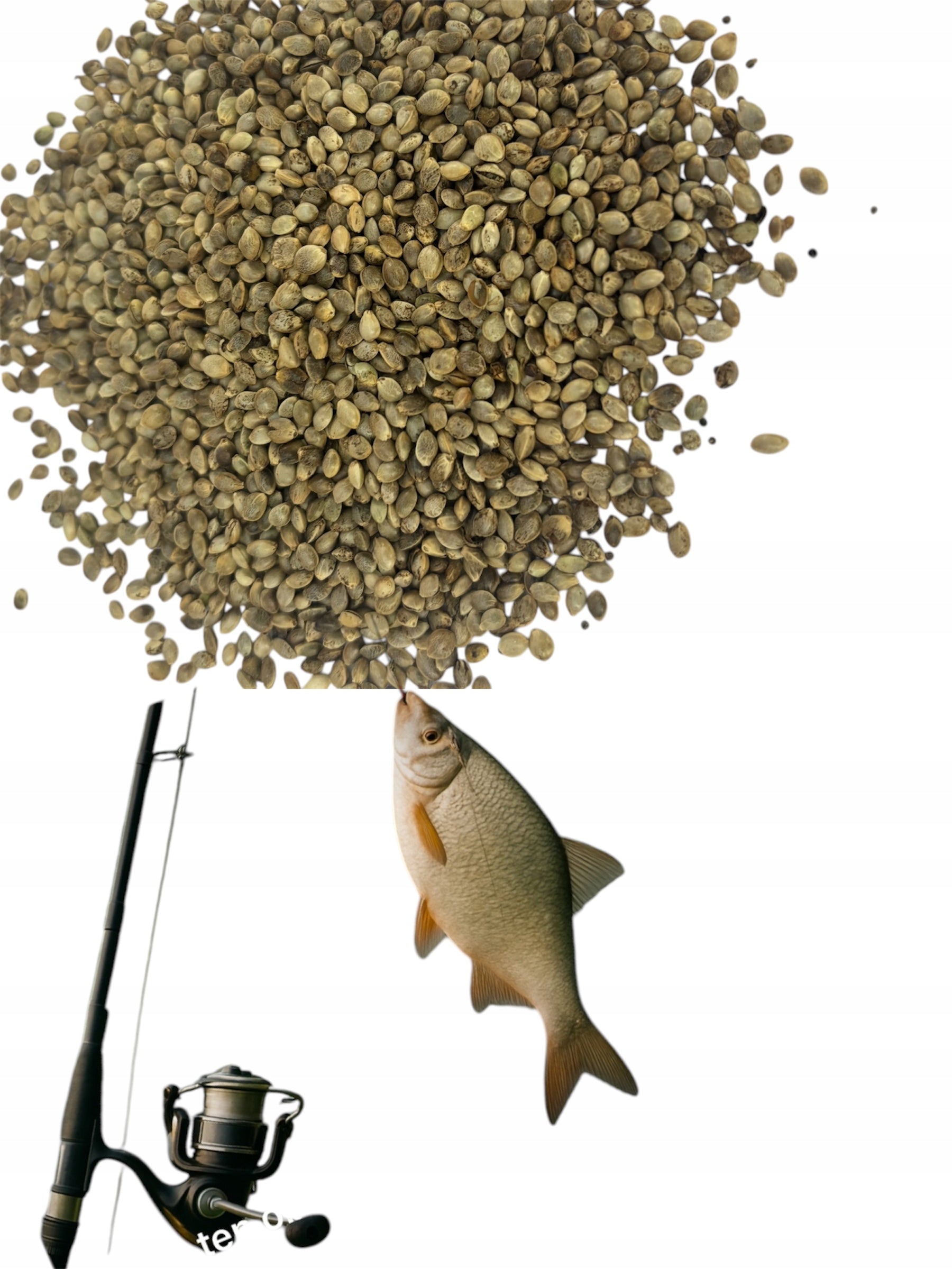 Hemp feed 10 kg fishing bait Brand no brand