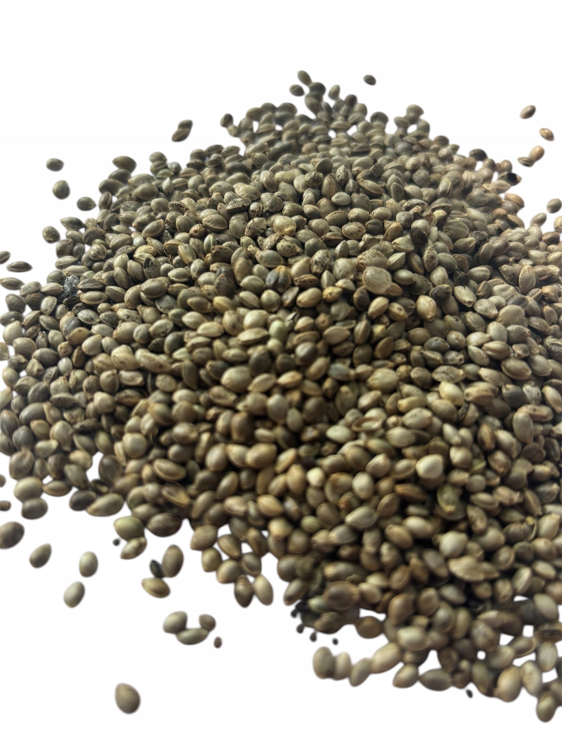 Hemp feed 10 kg fishing bait Manufacturer code Danwed