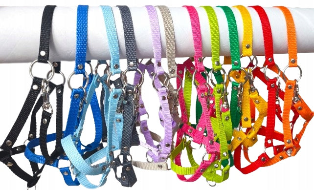 Hobby Horse A4 – Kantar and Water Set Colorful accessories for horse ANOWI EAN (GTIN) 5906040651132