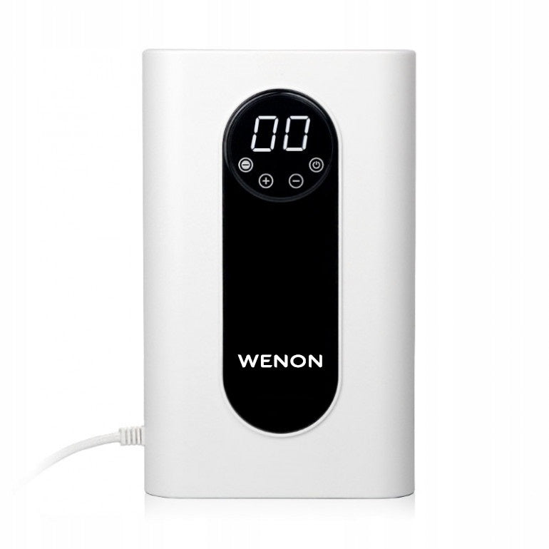 Homemade Food Air Ozonator Wenon MF308 1000mg with Ionization Function