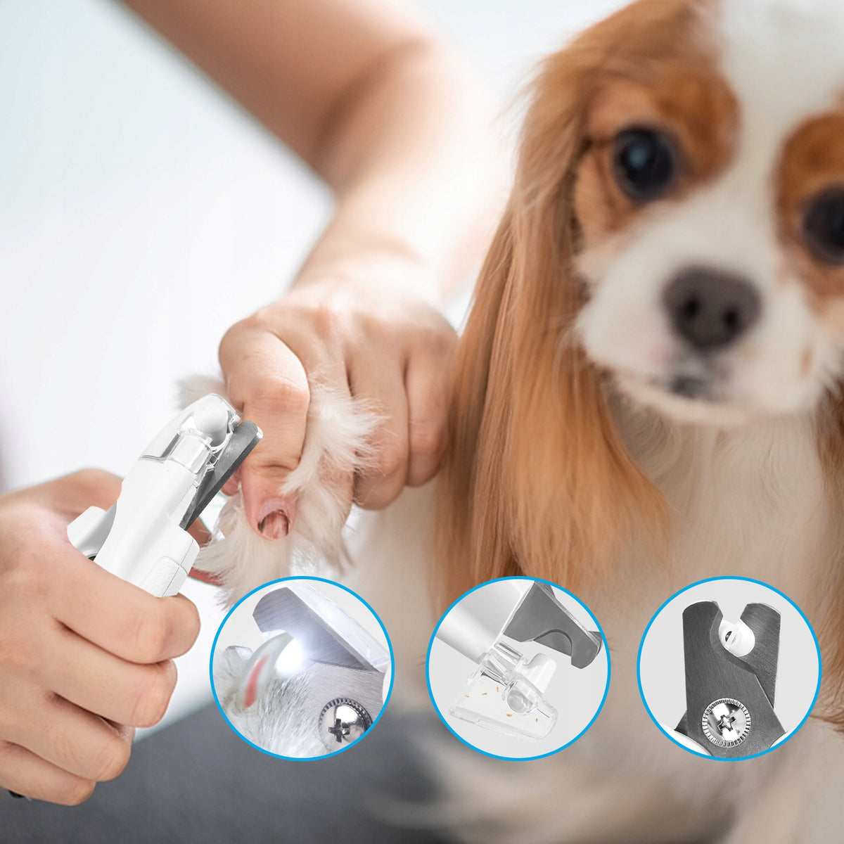 Hypoallergenic Dog Claw Clippers with LED and File Manufacturer code Szlifierka Do Pazurów zwierząt Psy Koty
