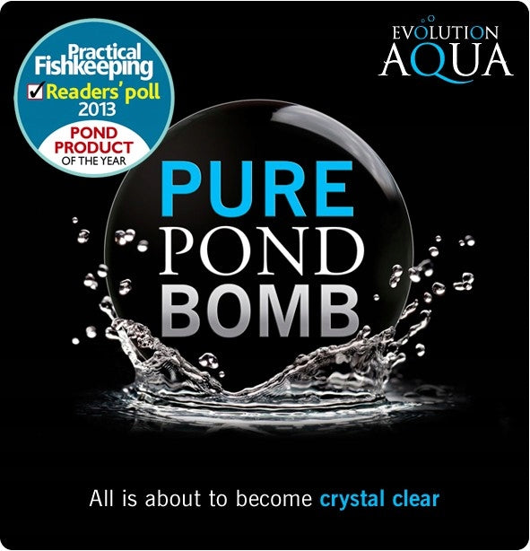 IMMEDIATELY CLEAN WATER - PREPARATION - EVOLUTION AQUA PURE POND BOMB Purpose water purification