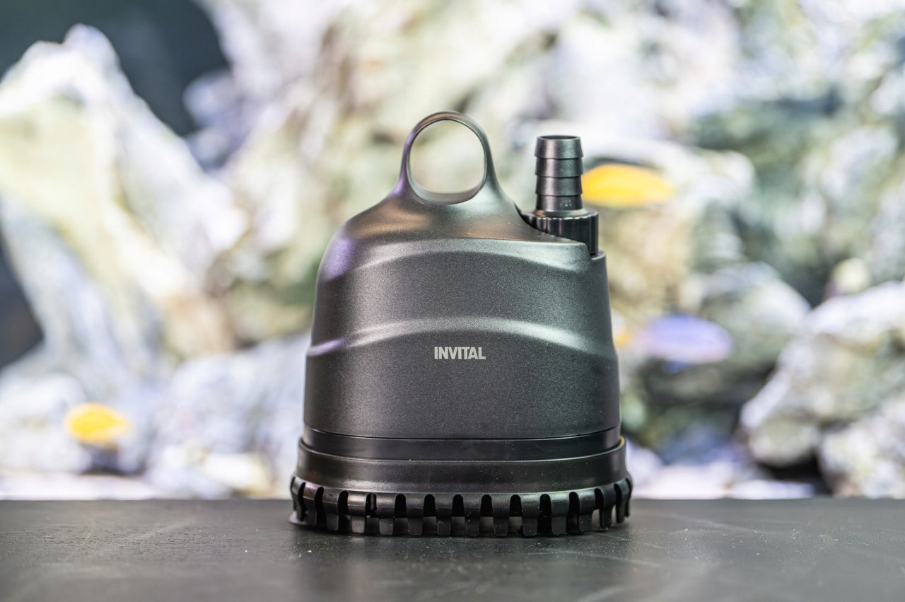 INVITAL DSP pump with lower inlet 1200 l/h 1,8 m for low water level Manufacturer code Z06252