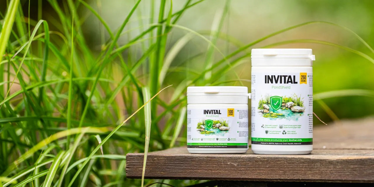 INVITAL PondShield 250 g per pond without algae, removes algae pure water EKO Purpose water clarification