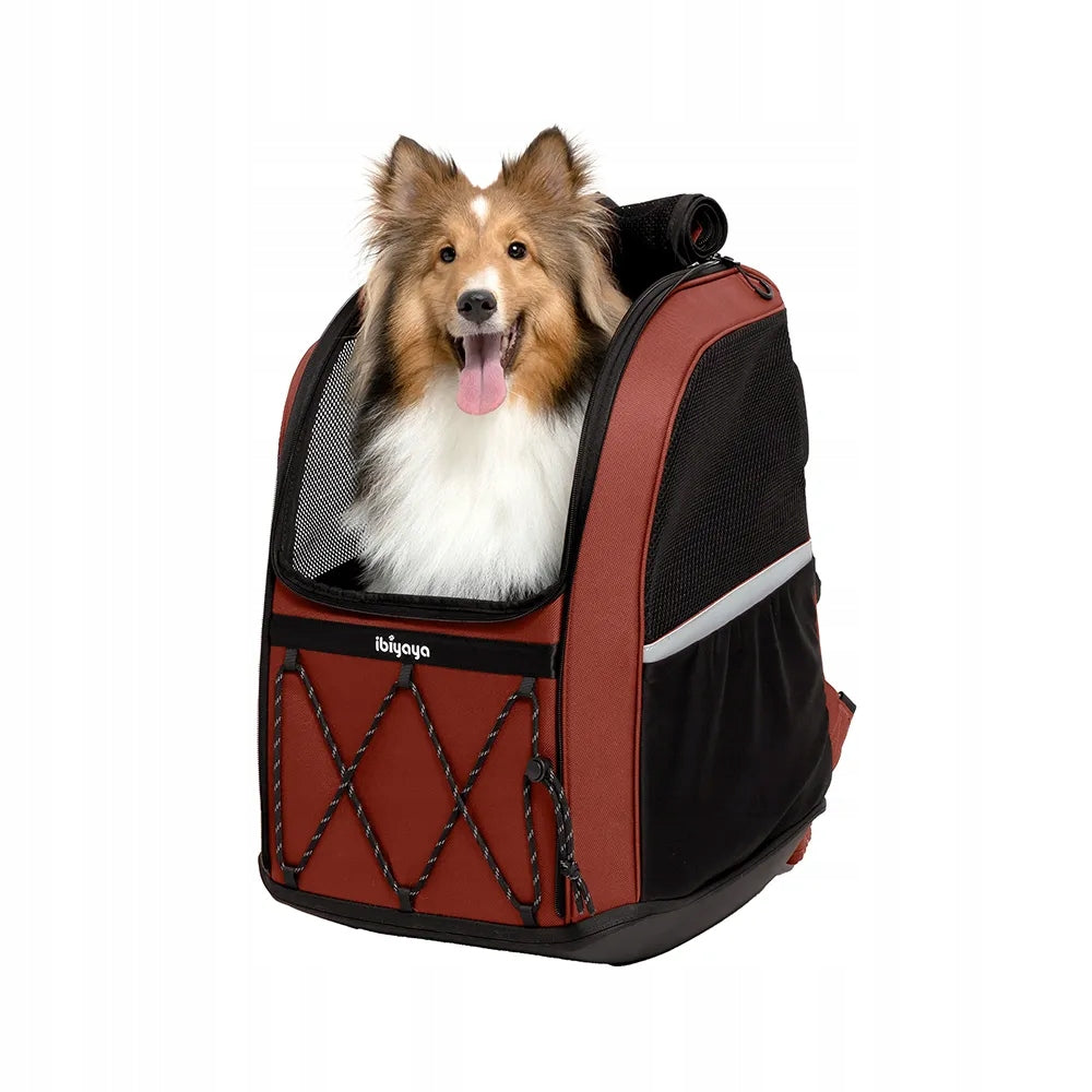 Ibiyaya Champion Backpack - Maroon FC2345-DR