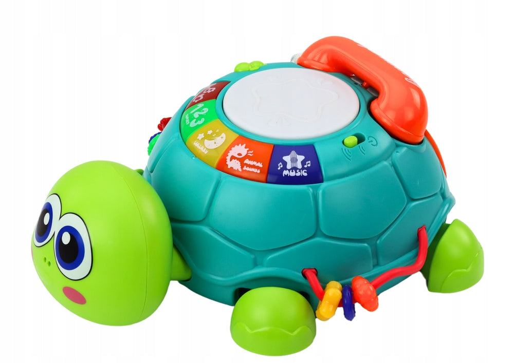 Interactive turtle 6in1 green Lean Toys 255x200 mm Brand LEAN Toys