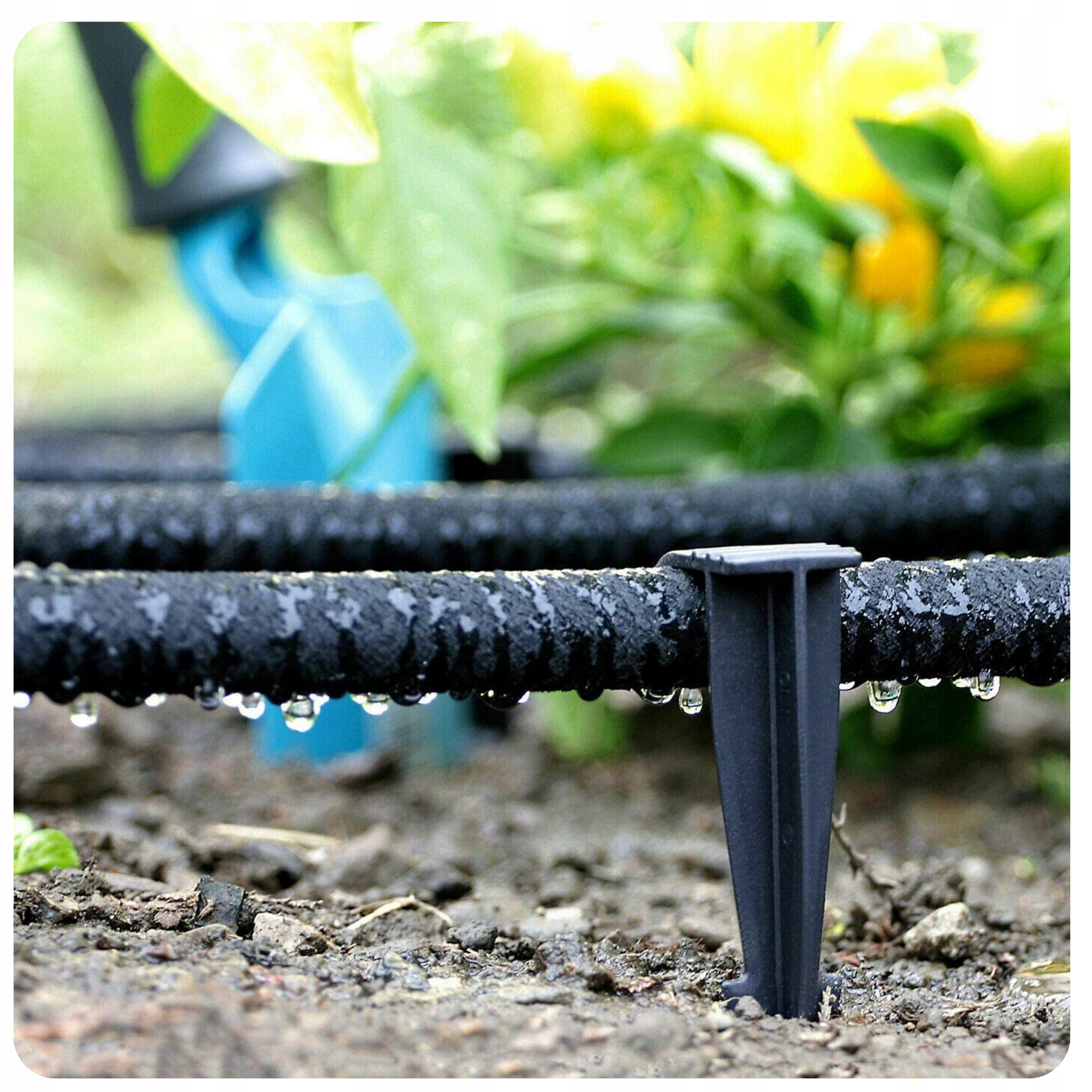 Irrigation drip hose AQUA DROP 1/2" 30m flexible for garden EAN (GTIN) 5907182219716