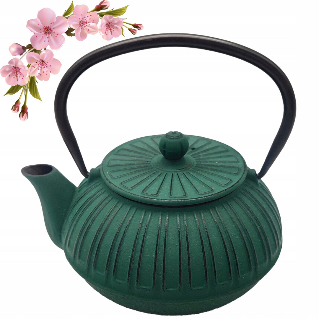 KETTLE CAST IRON TEAPOT INFUSER TEA JUG HERBS WITH STRAINER 0,6l KAMILLE Packaging status original