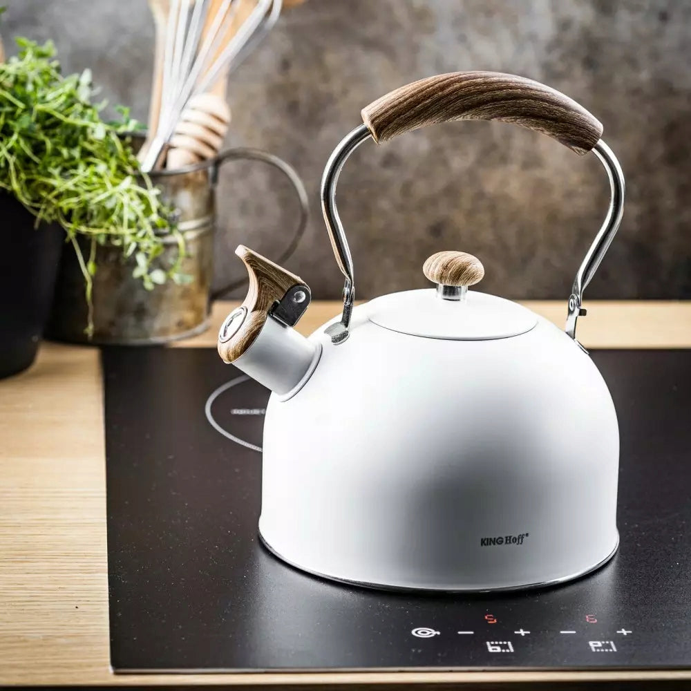 KETTLE Steel WHITE 2,5l FOLDING HANDLE INDUCTION Gas WITH WHISTLE 1860 Brand no brand