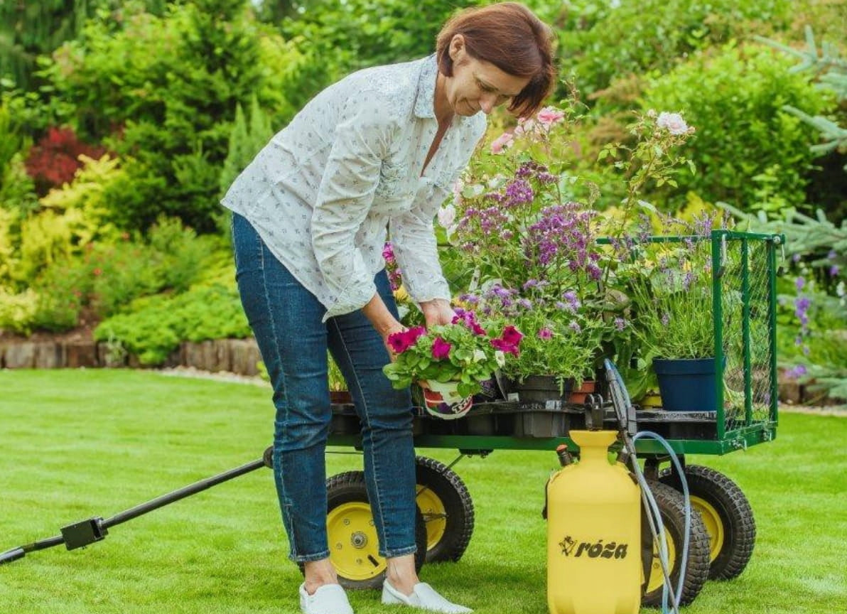 KWAZAR Pressure sprayer ROSE 6L EAN (GTIN) 5904447007132