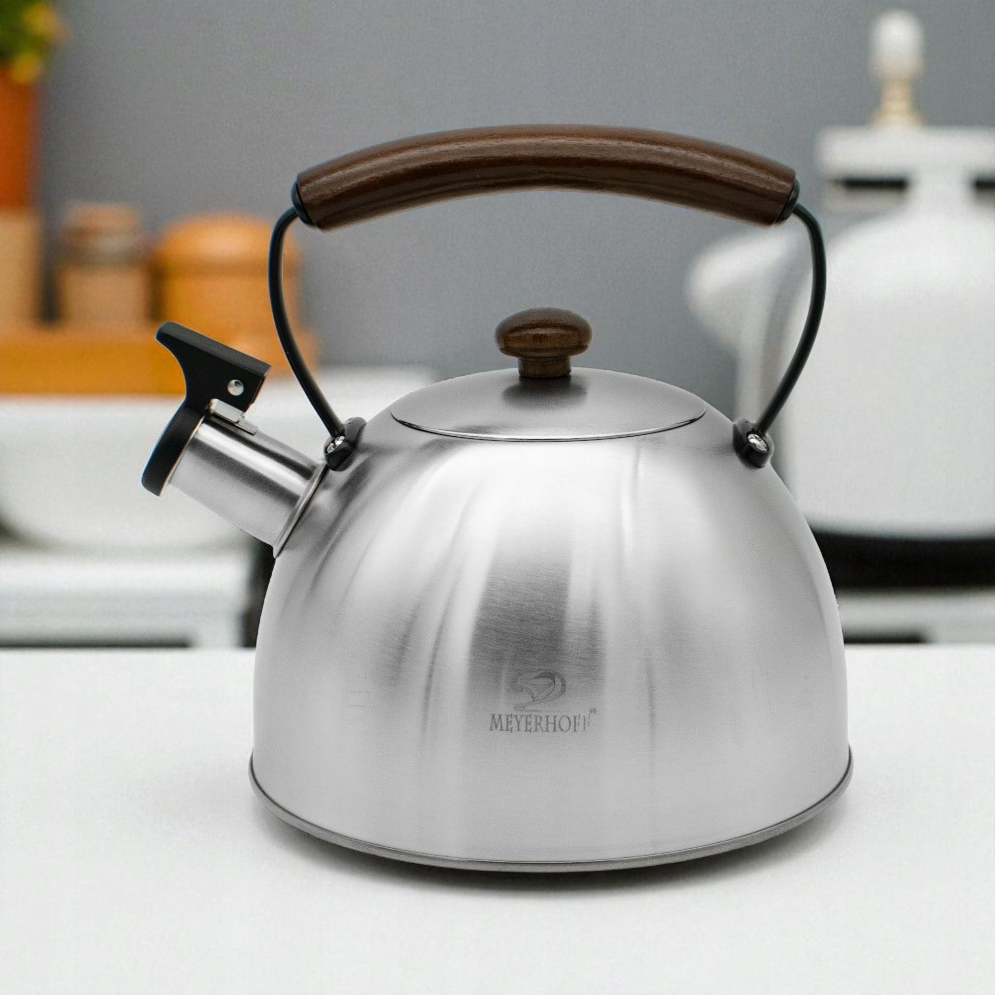 Kettle 2.5L Steel Stainless Silver Whistle Brushed Induction Gas Color silver