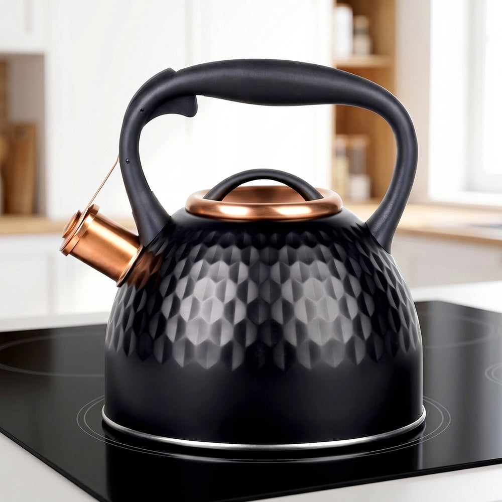 Kettle STEEL black for boiling water for gas induction cooker 2,5L Packaging status original