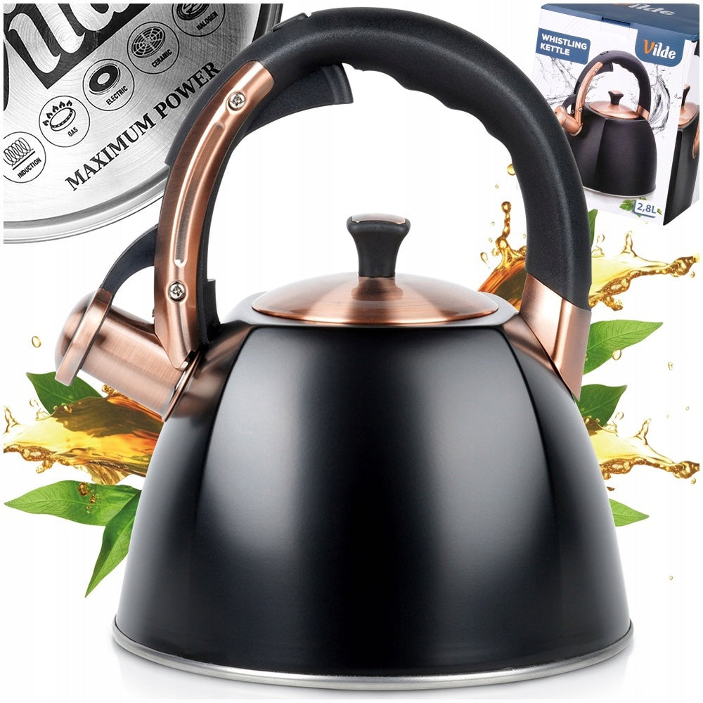 Kettle STEEL black for boiling water for gas induction cooker 2,8L