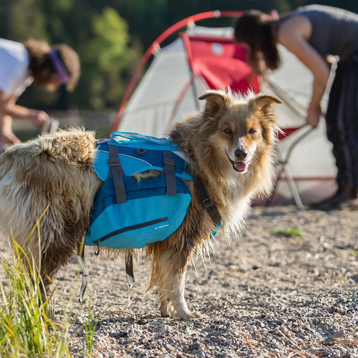 Kurgo Baxter Backpack 3,75L panniers for medium and large dogs, blue Brand Kurgo